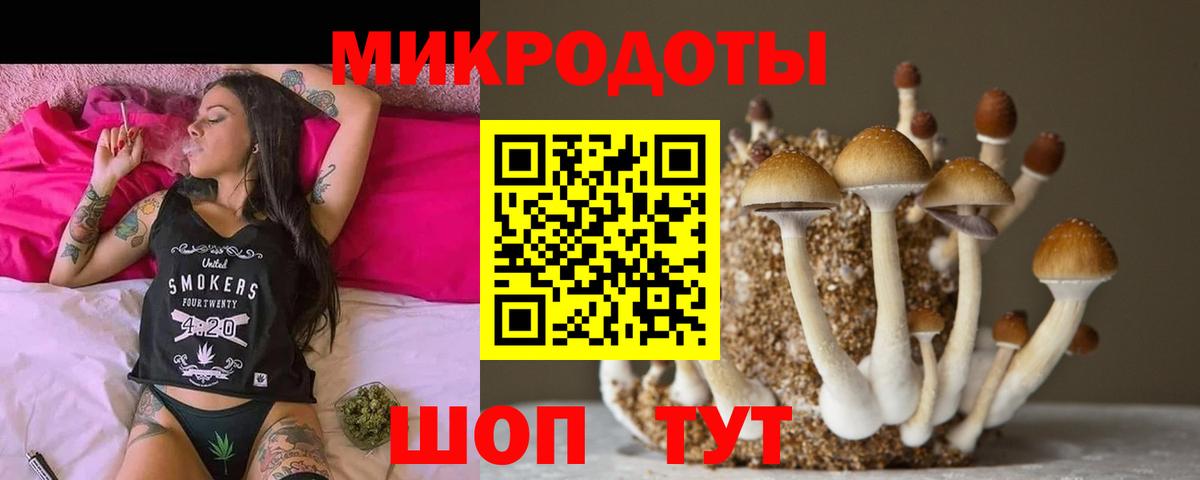 Фурманов  Псилоцибиновые грибы прущие грибы  Вход с VPN  Псилоцибиновые грибы GOLDEN TEACHER 